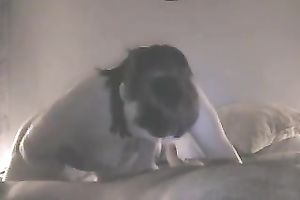 Cock crazed mother I'd like to fuck sucks my swollen ramrod very seductively
