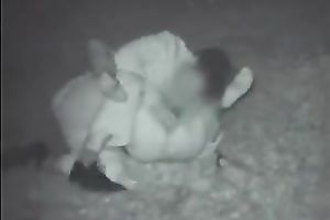 This lascivious man is such an experienced pussy licker