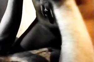 Retro porn compilation with lot of fantastic whores