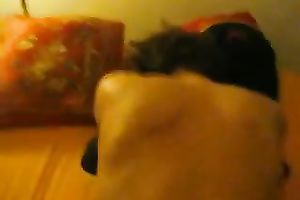 Banging sweetheart in high heels in her cookie from the back