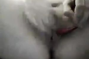 I am using booty plug to shove and stuff my fat cookie