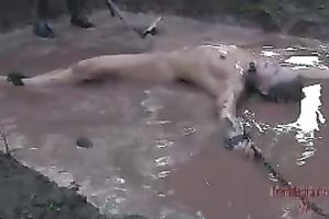 Bound floozy Dia enjoys dirty procedures in the yard