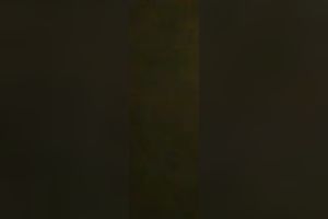 My older spouse happily fucking me in missionary position