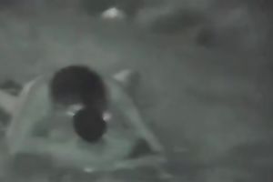 This wicked young pair drilled in the park in the night