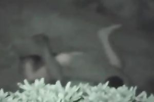 This wicked young pair drilled in the park in the night