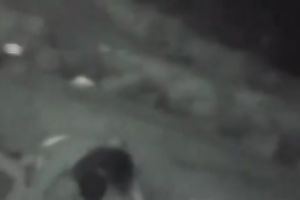 This wicked young pair drilled in the park in the night