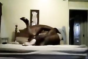 Black chap that was in the cafe went with me to my place