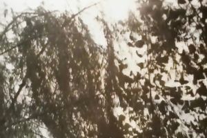 Hot golden-haired beauty kisses a impressive chap on the boat