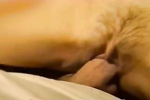 Getting my cute bawdy cleft team-fucked in the missionary position