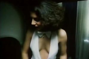 Steamy FFM three-some action with hairy dark brown playgirl and golden-haired playgirl
