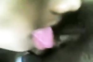 Dissolute Indian doxy receives her snatch licked and gives oral-service