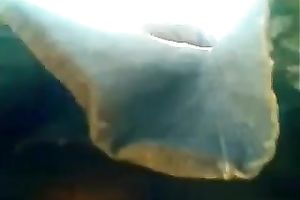 Check out sexy upskirt view of large dark a-hole on dilettante movie