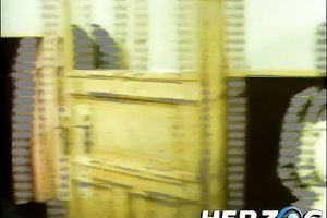 Sweet dark brown enjoys engulfing a wang in 69 position