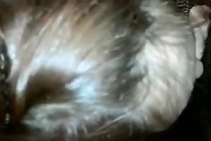 Salacious white wife enjoys engulfing my dark weiner in POV scene