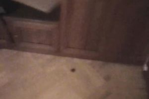 Sweet and slim youthful girlfriend filmed and screwed