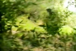 Three hawt lesbo women are having some wonderful time