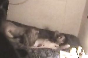 My horny neighbor sucks my weenie after oral-sex sex in 69 pose