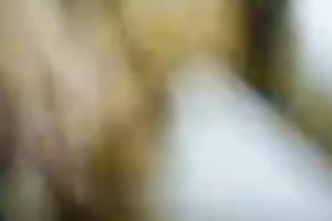 Pretty Indian girlfriend gives me excellent rimjob and oral job