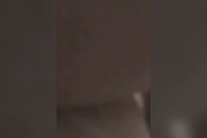 My German big beautiful woman older wife is riding my cock and making me cum
