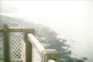 Busty blonde seductress is talking on a phone