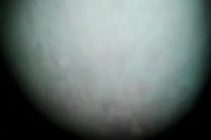 A cock-hungry bitch bonks me in the cowgirl pose in POV clip