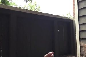 My ebon girlfriend sucks my large wang and swallows my cum