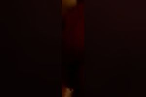 My spunky four-eyed girlfriend gets her taut twat bonked in POV
