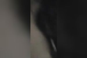 Petite and ribald dark brown gives her stud a oral-stimulation