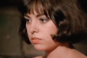 Petite dark brown sweetheart in watch throughout outfit is stylish