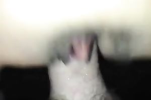 Close up homemade scene with me and my dirty slut wife banging