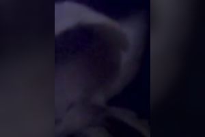 This large moist banana makes my orgasms greater amount beefy