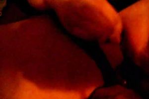 Helping my chubby and excited horny white wife have a fun masturbation with a sextoy