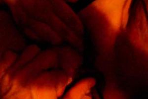 Helping my chubby and excited horny white wife have a fun masturbation with a sextoy