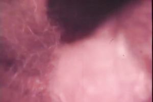 This compilation gives u sexy chicks to check out