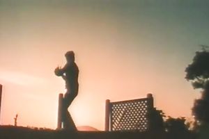 Hot dark brown floozy receives nailed in missionary pose by the pool