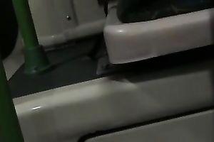 My paramour wearing stockings flashes her slit in a bus