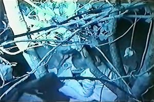 This horny Japanese hussy is giving her paramour a fine oral-service