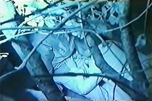 This horny Japanese hussy is giving her paramour a fine oral-service