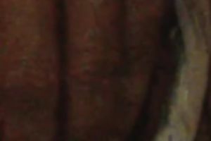 Bulgarian nympho gives me a close up view of her fur pie