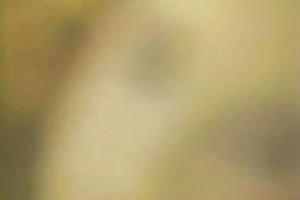 Two sexually excited blondies in their hawt and short outfit had enjoyment in bedroom