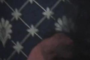 Naughty Indian housewife receives her zeppelins suckled by horny dude with mustaches