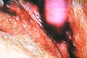 What is unshaved and wet? My wife's slit! Take a look