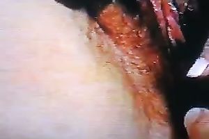 What is unshaved and wet? My wife's slit! Take a look