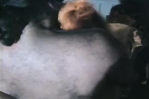 Busty fair-haired woman receives screwed in a car in retro porn scene