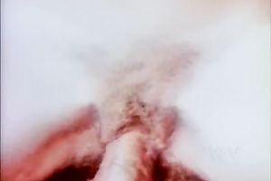 White slutty and perverted babe loved her friend's big and plump rod