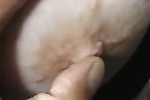 Just my colleague with tiny pecker despairing for a quickie