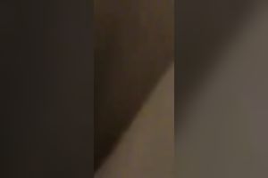 Watch me pounding my girlfriend's strong and moist cookie