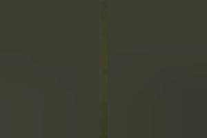 Feeding my hawt latin babe big beautiful woman playgirl with wang and fucking her in mish position