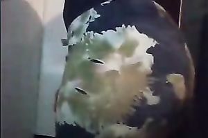 Hot black skin breasty girl with ideal billibongs teases me on livecam