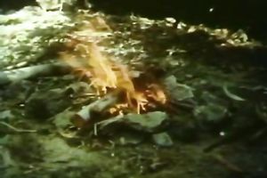 Lustful classic cheating wife masturbates her twat in the forest